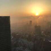 ヒメ日記 2026/02/03 14:04 投稿 ことみ 人妻・若妻デリヘル レディプレイス