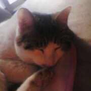 ヒメ日記 2026/02/20 06:55 投稿 ことみ 人妻・若妻デリヘル レディプレイス