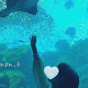 ヒメ日記 2026/02/21 09:07 投稿 ことみ 人妻・若妻デリヘル レディプレイス