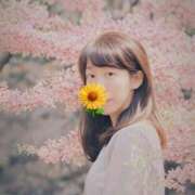 ヒメ日記 2026/03/31 19:35 投稿 ことみ 人妻・若妻デリヘル レディプレイス