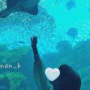 ヒメ日記 2026/04/13 01:49 投稿 ことみ 人妻・若妻デリヘル レディプレイス