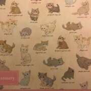 ことみ [お題]from:猫飼いたいさん 人妻・若妻デリヘル レディプレイス