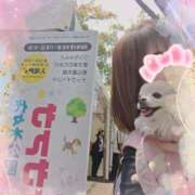 ヒメ日記 2026/04/12 09:23 投稿 愛華 ミセスハンドセラピー