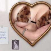 えま クリスマスイベント One More 奥様　五反田店