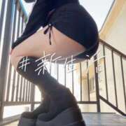 ヒメ日記 2026/04/08 13:57 投稿 えま One More 奥様　五反田店