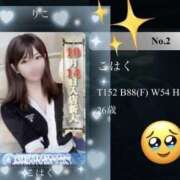 ヒメ日記 2025/11/13 11:48 投稿 こはく Seirenes (セイレネス)