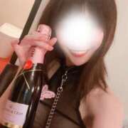 こはく 昨日も完売ありがとうございました⭐️✨✨今日もいます Seirenes (セイレネス)