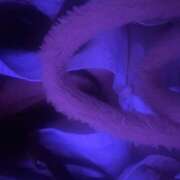 ヒメ日記 2025/11/21 19:35 投稿 もね ∞ (はっち)