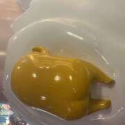 ヒメ日記 2026/01/21 19:34 投稿 もね ∞ (はっち)