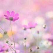 ヒメ日記 2025/10/22 20:12 投稿 ゆうか 梅田アバンチュール