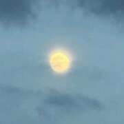 ヒメ日記 2025/11/05 22:53 投稿 ゆうか 梅田アバンチュール