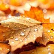 ヒメ日記 2025/11/09 22:12 投稿 ゆうか 梅田アバンチュール