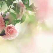 ヒメ日記 2025/11/21 00:02 投稿 ゆうか 梅田アバンチュール