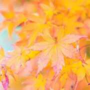 ヒメ日記 2025/11/26 23:12 投稿 ゆうか 梅田アバンチュール