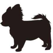 ヒメ日記 2026/01/21 22:56 投稿 ゆうか 梅田アバンチュール