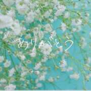 ヒメ日記 2026/02/28 00:12 投稿 ゆうか 梅田アバンチュール