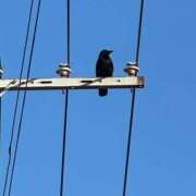 ヒメ日記 2026/03/16 23:04 投稿 ゆうか 梅田アバンチュール