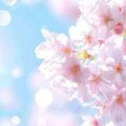 ヒメ日記 2026/03/19 00:12 投稿 ゆうか 梅田アバンチュール