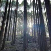 ヒメ日記 2026/03/25 00:12 投稿 ゆうか 梅田アバンチュール