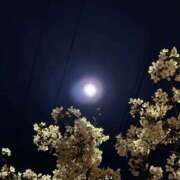 ヒメ日記 2026/03/31 23:59 投稿 ゆうか 梅田アバンチュール