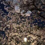 ヒメ日記 2026/04/07 00:02 投稿 ゆうか 梅田アバンチュール