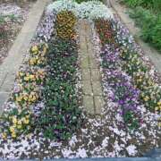 ヒメ日記 2026/04/08 00:12 投稿 ゆうか 梅田アバンチュール