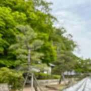 ヒメ日記 2026/04/23 00:15 投稿 ゆうか 梅田アバンチュール