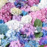 ヒメ日記 2026/05/30 00:22 投稿 ゆうか 梅田アバンチュール