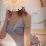 ヒメ日記 2025/11/20 23:54 投稿 原田詩 五十路マダム　和歌山店