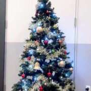 ヒメ日記 2025/12/25 16:53 投稿 ふわり 宮崎AROMA OLIVE