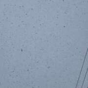 ヒメ日記 2026/02/08 20:49 投稿 その Blue Moon