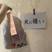 ヒメ日記 2025/11/14 21:09 投稿 いちか★SS級！女子アナの卵★ Chloe鶯谷・上野店 S級素人清楚系デリヘル