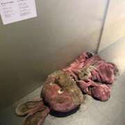 ヒメ日記 2025/11/15 20:32 投稿 いちか★SS級！女子アナの卵★ Chloe鶯谷・上野店 S級素人清楚系デリヘル