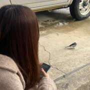 ヒメ日記 2026/01/17 11:20 投稿 いちか★SS級！女子アナの卵★ Chloe鶯谷・上野店 S級素人清楚系デリヘル