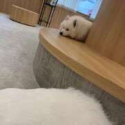 ヒメ日記 2026/01/18 12:21 投稿 いちか★SS級！女子アナの卵★ Chloe鶯谷・上野店 S級素人清楚系デリヘル