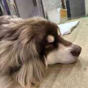 ヒメ日記 2026/02/01 00:10 投稿 いちか★SS級！女子アナの卵★ Chloe鶯谷・上野店 S級素人清楚系デリヘル