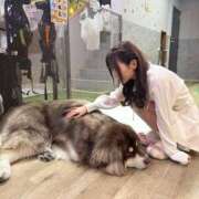 ヒメ日記 2026/02/01 13:49 投稿 いちか★SS級！女子アナの卵★ Chloe鶯谷・上野店 S級素人清楚系デリヘル