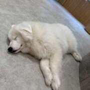 ヒメ日記 2026/03/01 12:20 投稿 いちか★SS級！女子アナの卵★ Chloe鶯谷・上野店 S級素人清楚系デリヘル