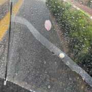 ヒメ日記 2026/04/15 22:32 投稿 いちか★SS級！女子アナの卵★ Chloe鶯谷・上野店 S級素人清楚系デリヘル