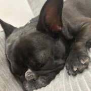 ヒメ日記 2025/12/23 00:53 投稿 なみ CLUB DEEP 博多