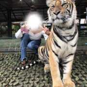 ヒメ日記 2026/02/04 10:30 投稿 ひびき 素人系イメージSOAP彼女感大宮館