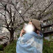 ヒメ日記 2026/04/03 18:30 投稿 ひびき 素人系イメージSOAP彼女感大宮館