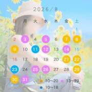 ヒメ日記 2026/07/07 20:14 投稿 ひびき 素人系イメージSOAP彼女感大宮館