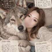 ヒメ日記 2026/09/15 10:16 投稿 ひびき 素人系イメージSOAP彼女感大宮館