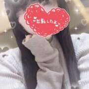 Naho(なほ） ※無題 AMATERAS(アマテラス)(福山)