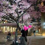 まな 𖤣𖥧𖥣｡𖥧𖧧 ロイヤルフラッシュ