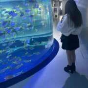 ヒメ日記 2026/03/21 01:31 投稿 しおん スピードエコ京橋店