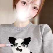 ヒメ日記 2026/01/28 06:06 投稿 ゆいか SAPPORO ばつぐんnet