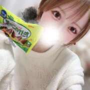 ヒメ日記 2026/01/29 03:16 投稿 ゆいか SAPPORO ばつぐんnet