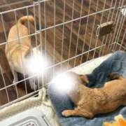 ヒメ日記 2026/02/18 16:56 投稿 ゆいか SAPPORO ばつぐんnet